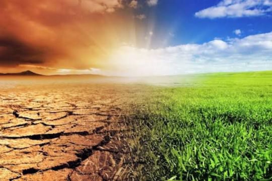 QHT-lər iqlim dəyişikliyinin kənd təsərrüfatına təsirindən narahatdır