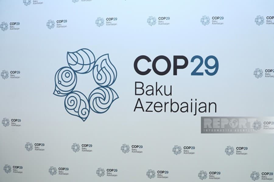 Özbəkistan QHT-ləri COP29-la əlaqədar həmrəylik bəyanatı yaydı