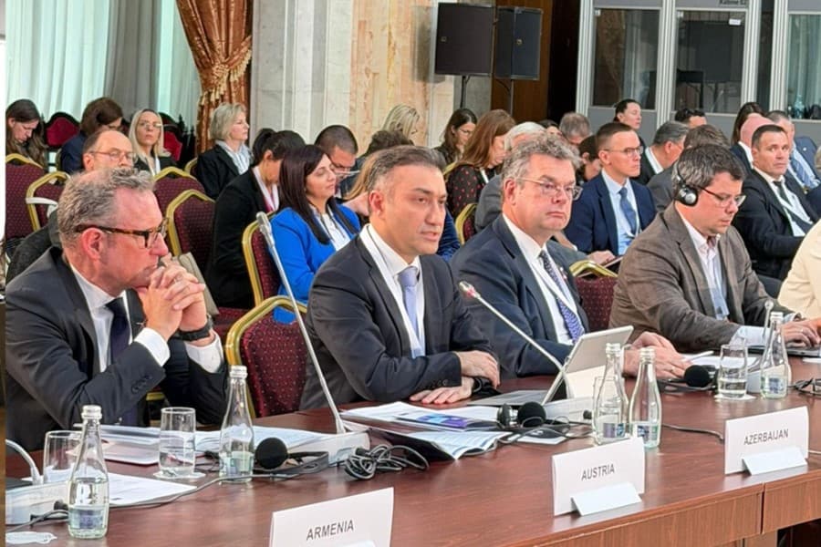 Avropa Sosial Hüquqlar üzrə Yüksək Səviyyəli Konfransda ölkəmizdə aparılan uğurlu sosial islahatlardan bəhs olunub - FOTOLAR