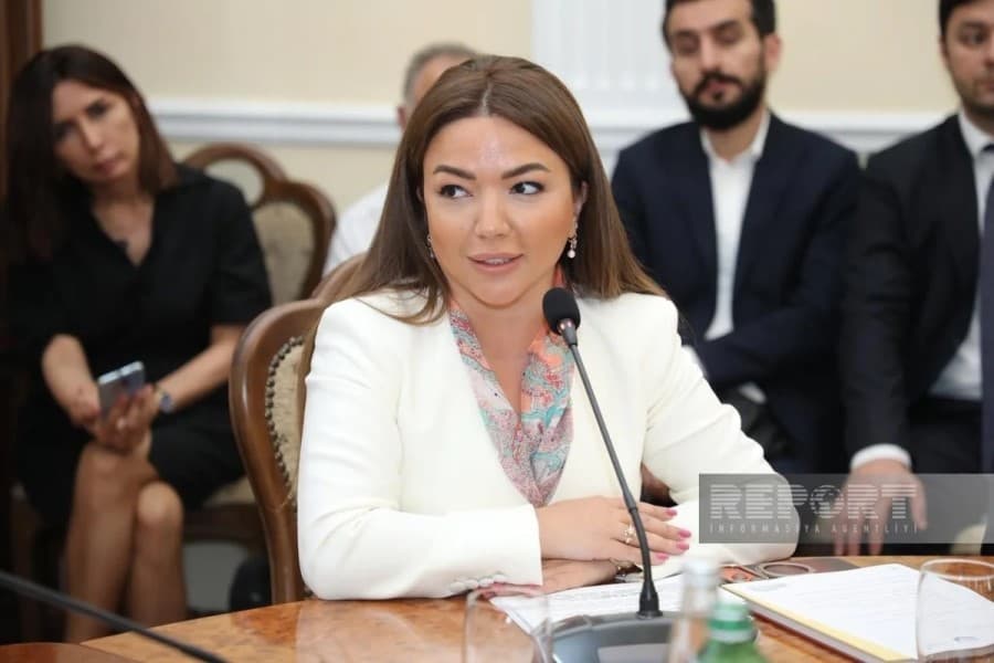 Aygün Əliyeva QHT-lərdən nəyi xahiş etdi?