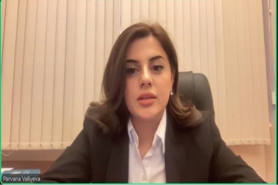 Pərvanə Vəliyeva COP29 QHT Koalisiyasının iclasında çıxış edib - FOTO