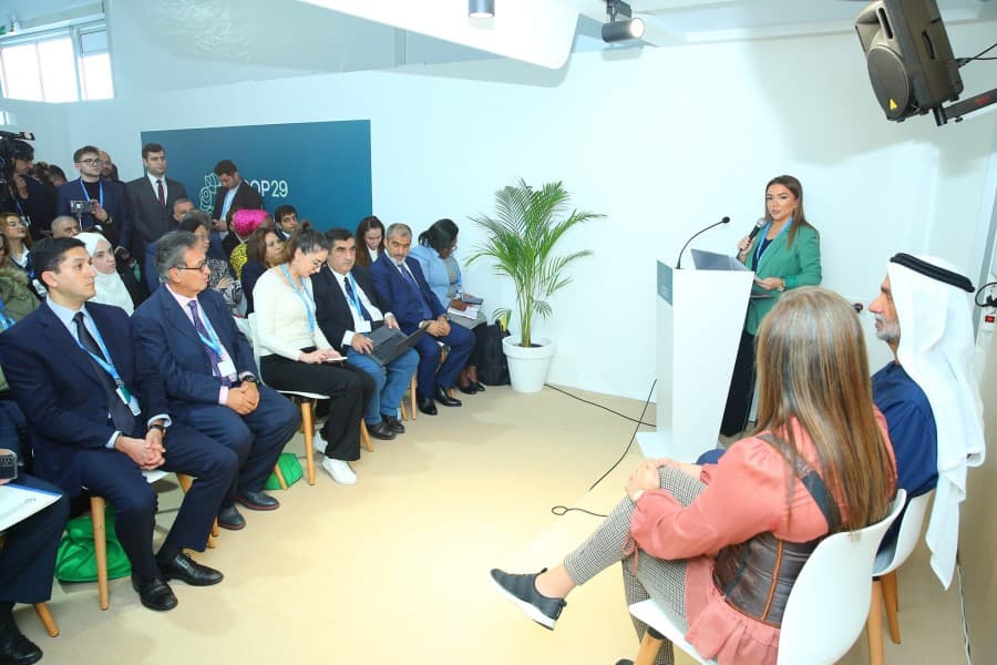 “Troyka” ölkələrinin QHT-ləri ilk dəfə birgə forum keçirib - FOTOLAR