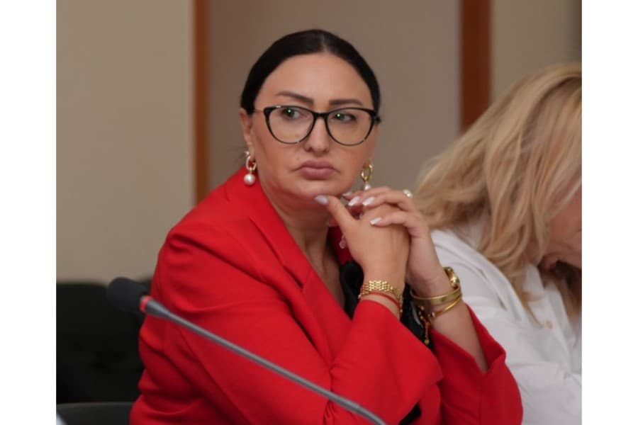 "Postmüharibə dövründə həssas qrupların sosial müdafiəsi Azərbaycan üçün prioritetdir" - QHT sədri