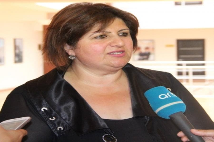 Bəsti Nəsibova: Azərbaycan hər zaman Avropa Şurasının ikili standartlarının şahidi olub