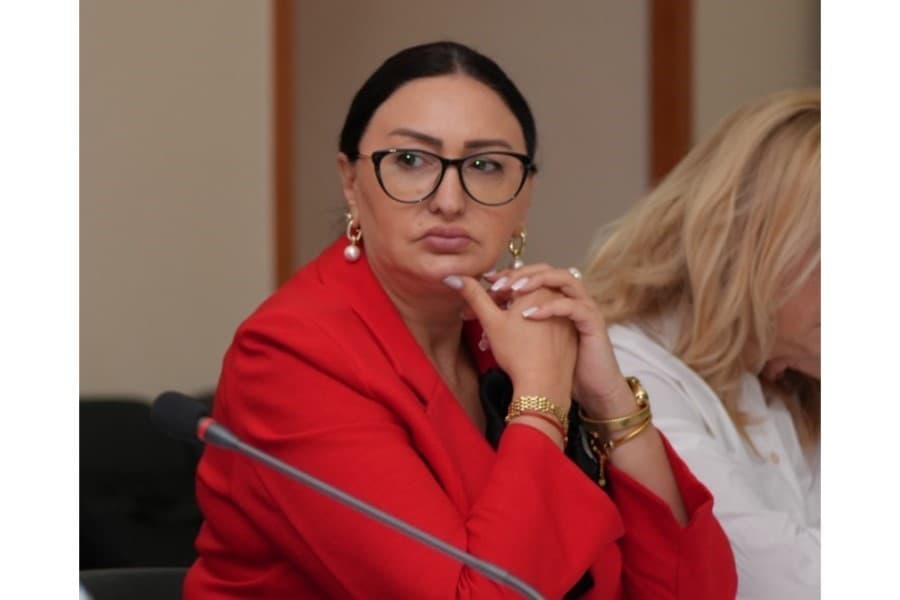 QHT sədri: “Qanunvericilikdən bixəbər şəxslərə qulaqburması lazım idi”