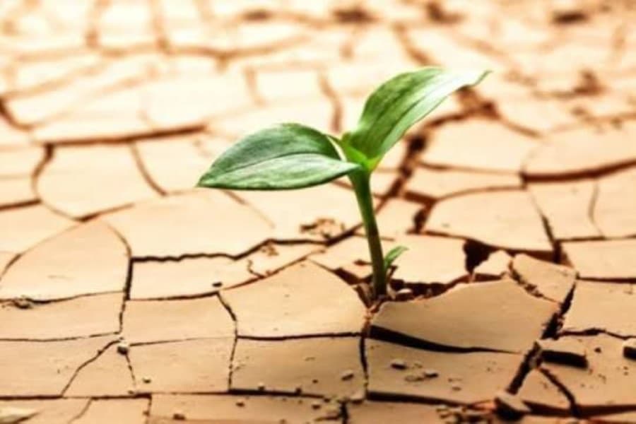 Qrenadin adalarında quraqlıq humanitar vəziyyəti ağırlaşdırır