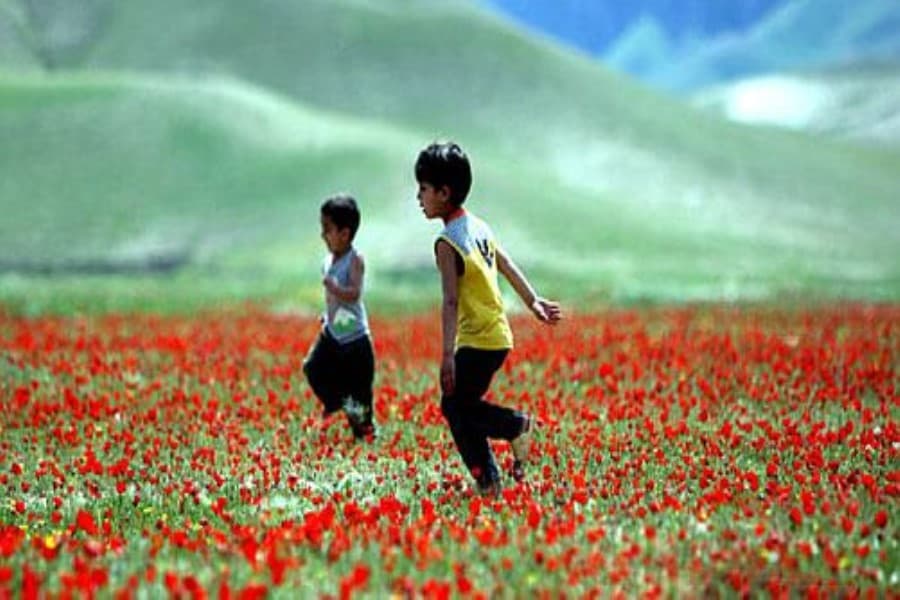 Yurdumuza bahar ətirli Novruz gəlir