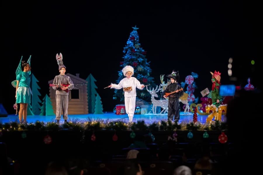 Xüsusi qayğıya ehtiyacı olan uşaqların iştirakı ilə konsert-tamaşa təşkil edilib