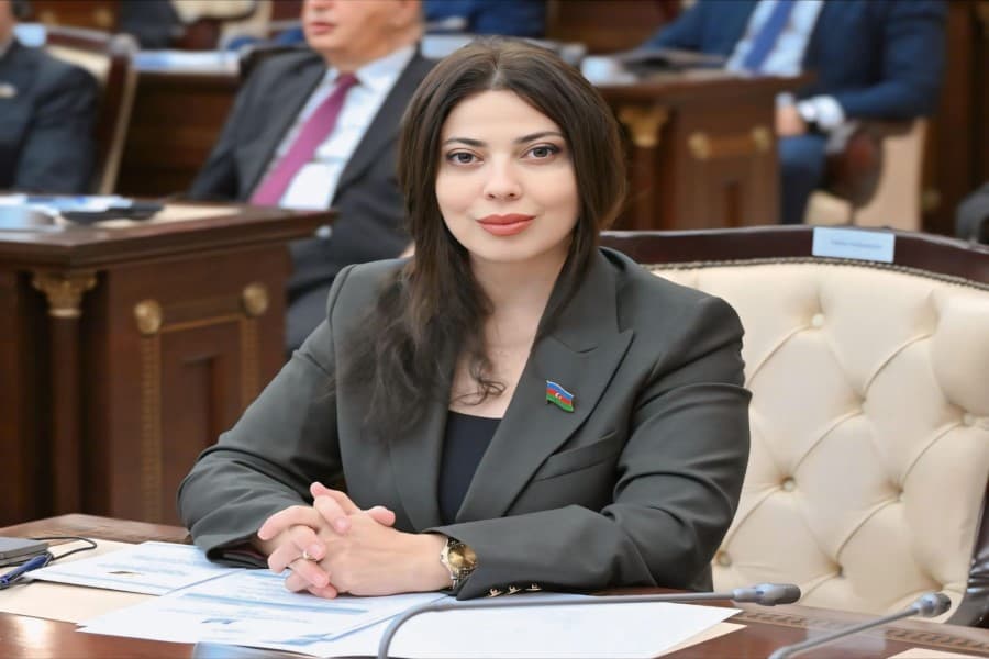 “Xızı–Abşeron” Külək Elektrik Stansiyası enerji balansında təmiz və dayanıqlı mənbələrin payının artırılmasına xidmət edir - DEPUTAT