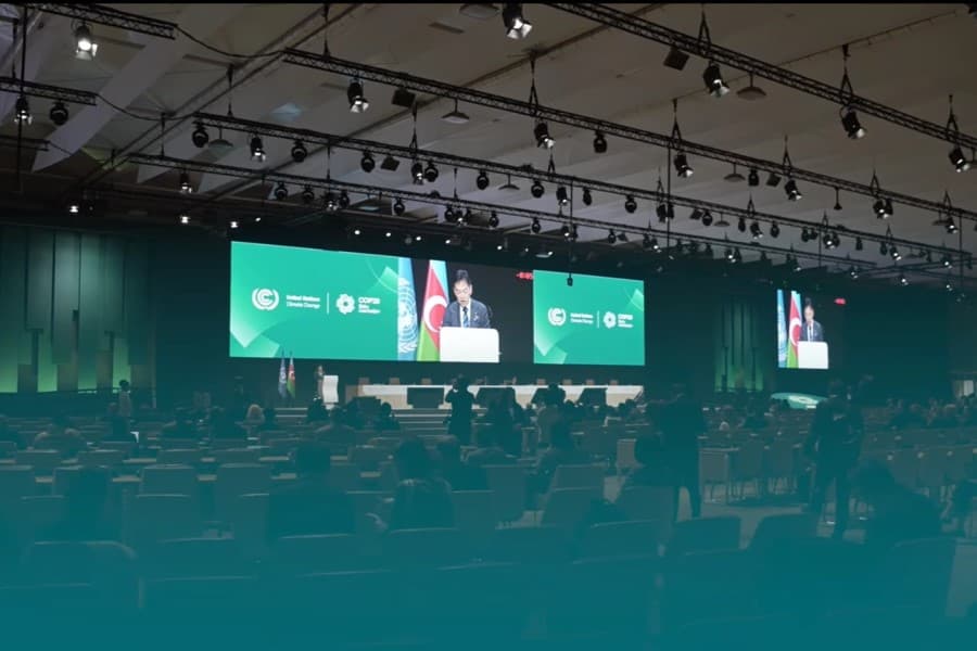 COP29 çərçivəsində təşkil olunan tematik günlər uğurla sona çatdı - VİDEO