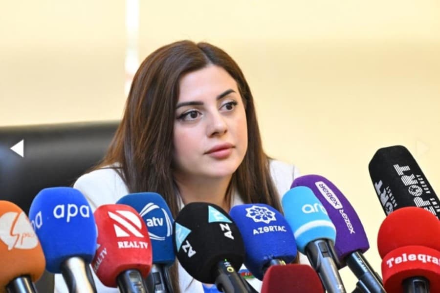 Azərbaycan–Gürcüstan strateji tərəfdaşlığı: Pərvanə Vəliyeva yazır