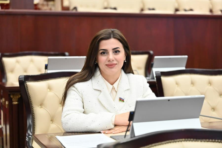 Prezidentin çoxvektorlu siyasəti Azərbaycanın mövqeyini gücləndirib