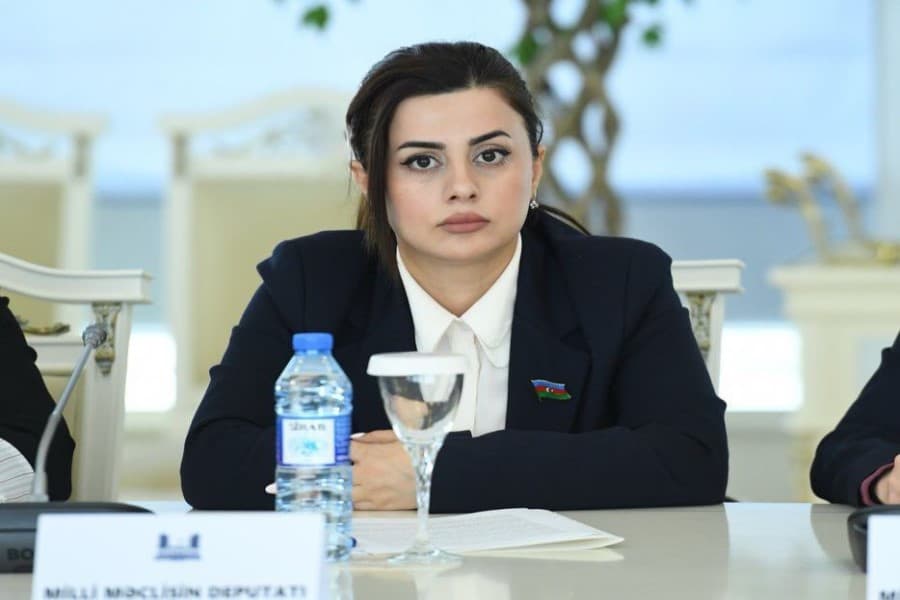 "Dövlət vətəndaşların yanında dayanır və onların rifahının bərpasını təmin edir" - Pərvanə Vəliyeva