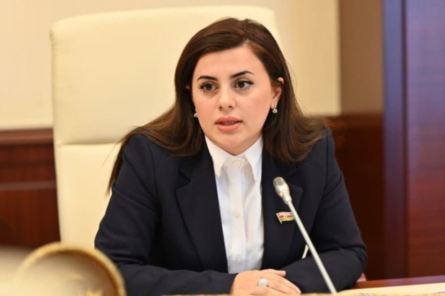 “Narkoloji müayinənin nikah və işə qəbul prosesinə daxil edilməsi doğru olardı” – Pərvanə Vəliyeva