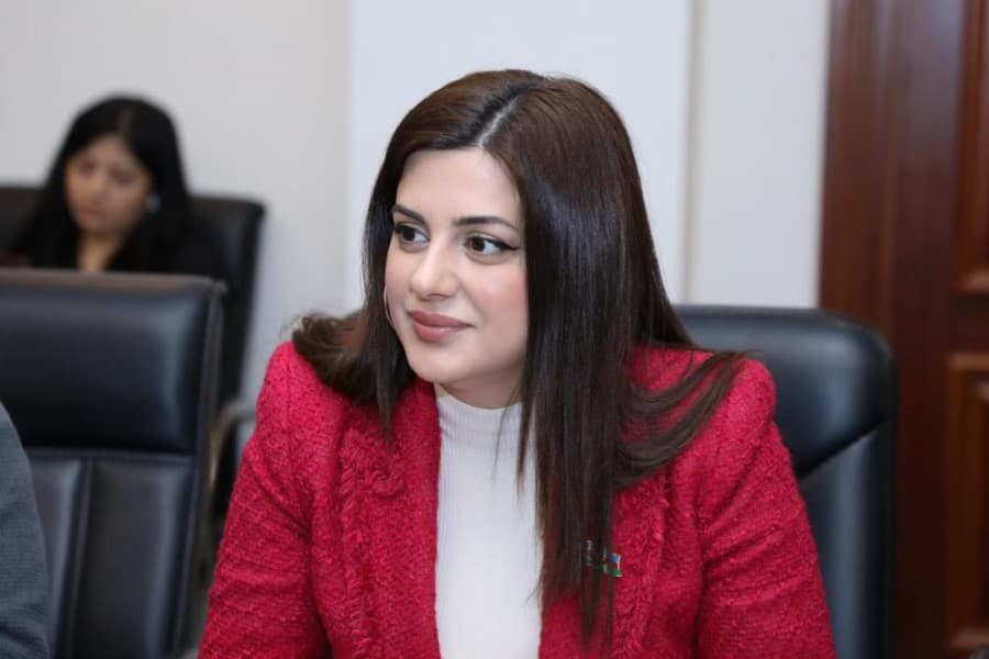 Bu gün Beynəlxalq Mina ilə bağlı Məlumatlılıq Günüdür - Deputat Pərvanə Vəliyeva yazır