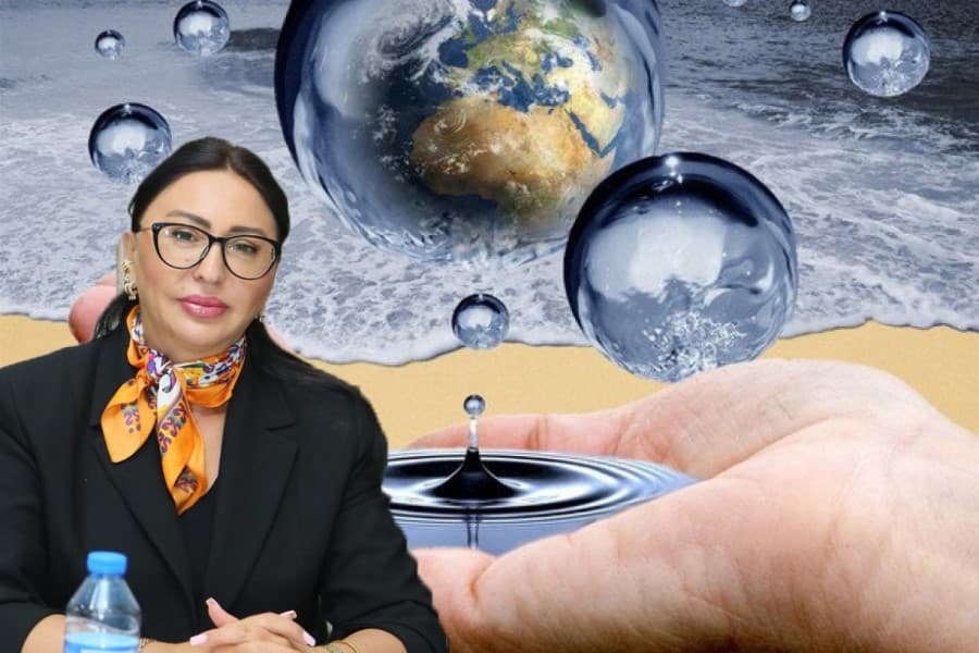 "Su təminatı artarsa, istehsal və ixrac da genişlənər" - Zülfiyyə Nuriyeva