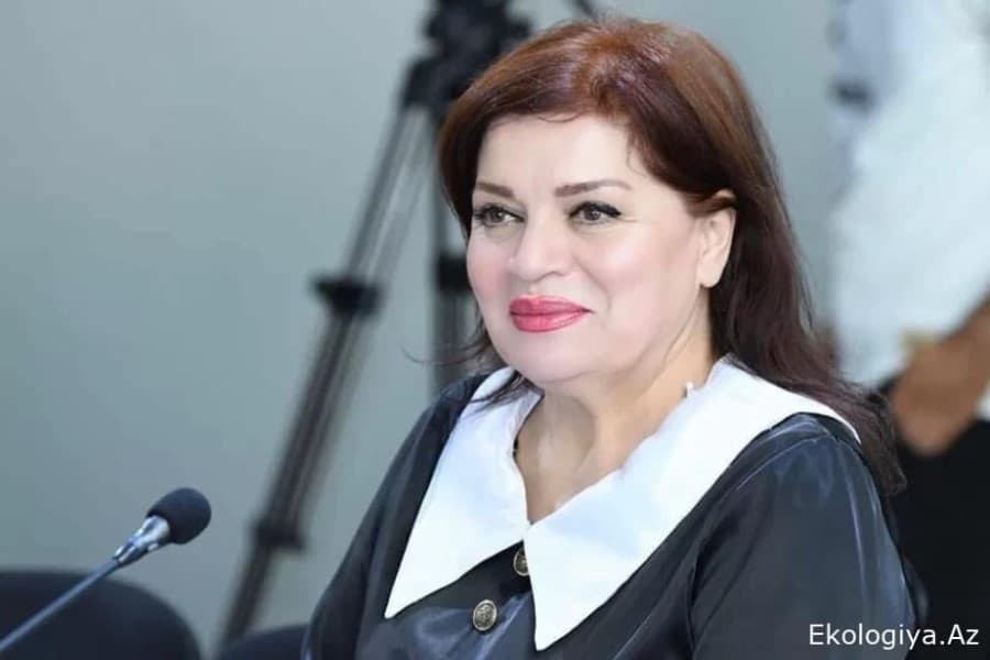 QHT sədri: "Çirkli dəniz suyu ciddi infeksiyalara səbəb ola bilər"