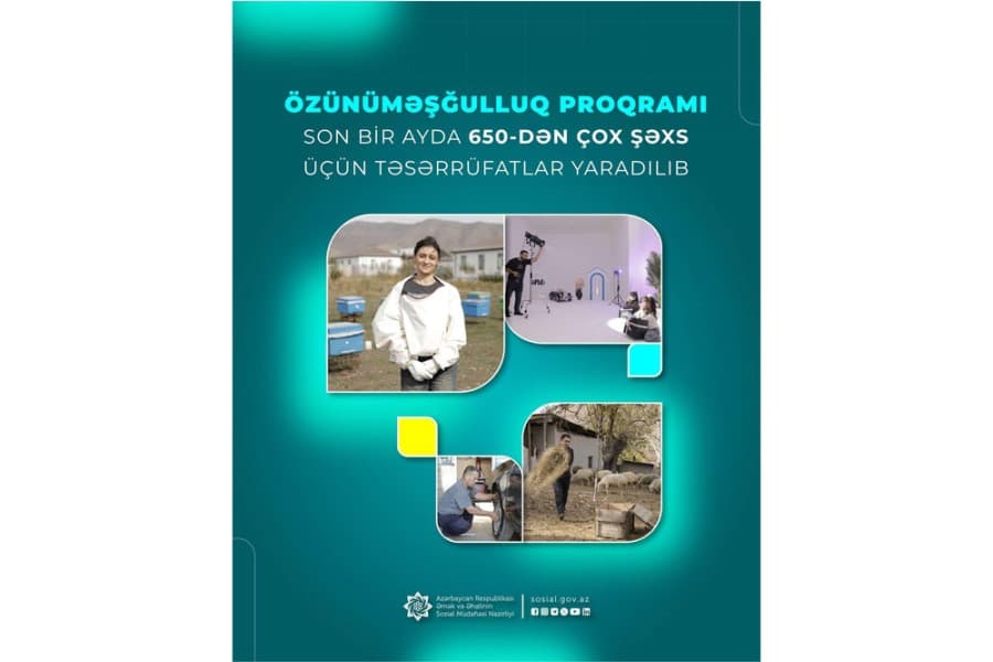 Özünüməşğulluq proqramı üzrə son bir ayda 650-dən çox şəxs üçün təsərrüfatlar yaradılıb