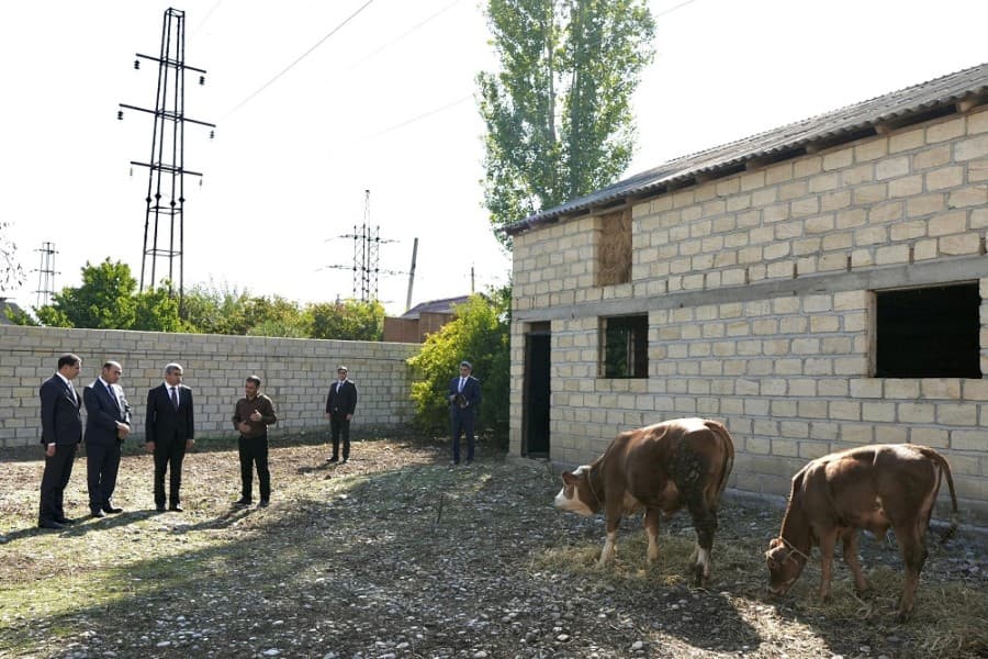 Bərdədə özünüməşğulluq proqramı çərçivəsində qurulmuş təsərrüfatlara və “DOST Evi”nə baxış olub - FOTOLAR