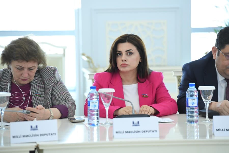 Pərvanə Vəliyeva: "Qlobal Cənubun Bandunq prinsipləri və vətəndaş cəmiyyəti həmrəyliyi Azərbaycan üçün böyük uğurdur"