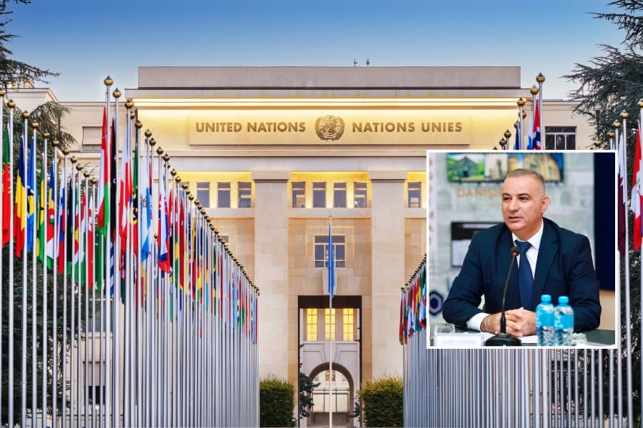 Hayların “xüsusi məruzəçi” planı