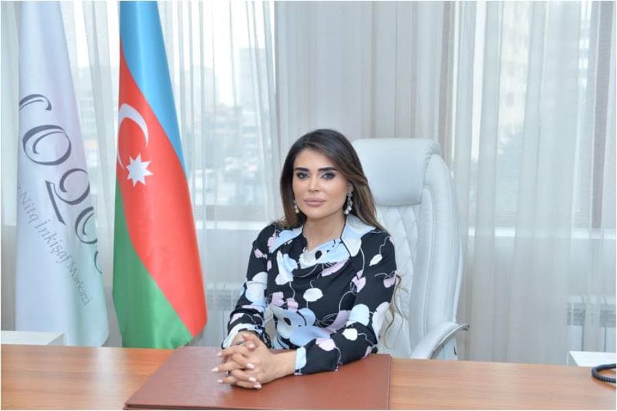 İşıqlı çağırışlar - Təranə Paşayeva yazır