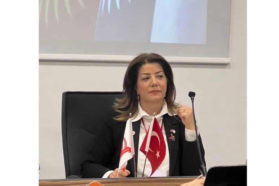 “Dünya Türk Dili Ailəsi Günü türk xalqlarının ortaq kimliyinə çağırışdır” - Əməkdar jurnalist