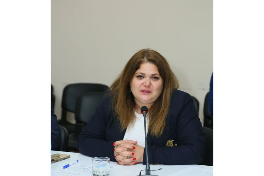 Vüsalə Hüseynli: “Layihə unudulmuş tarixi faktların üzə çıxarılmasına xidmət edir”