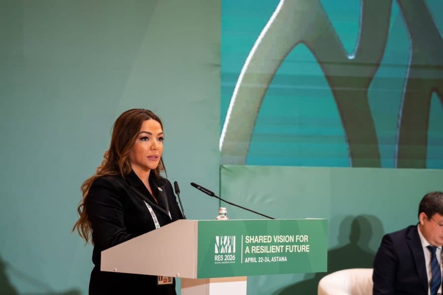 Aygün Əliyeva “Regional Ekoloji Sammit - 2026” çərçivəsində panel sessiyasında çıxış edib