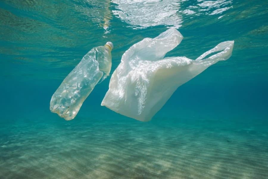 Alimlər çirkab sularda plastik yeyən bakteriyalar aşkar ediblər