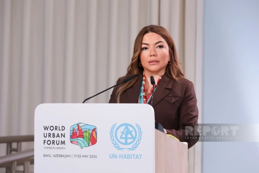 Aygün Əliyeva: QHT-lər cəmiyyətin ekoloji məlumatlılığını artırmağa kömək edir