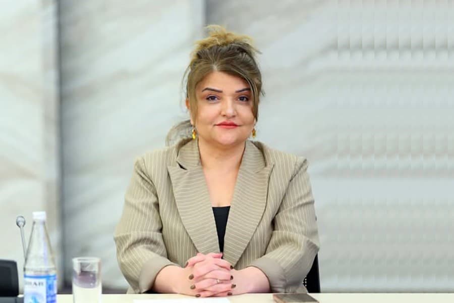 Elnurə Abuşova: "Ailədaxili zorakılıq və maliyyə problemləri boşanmalara səbəb olur"