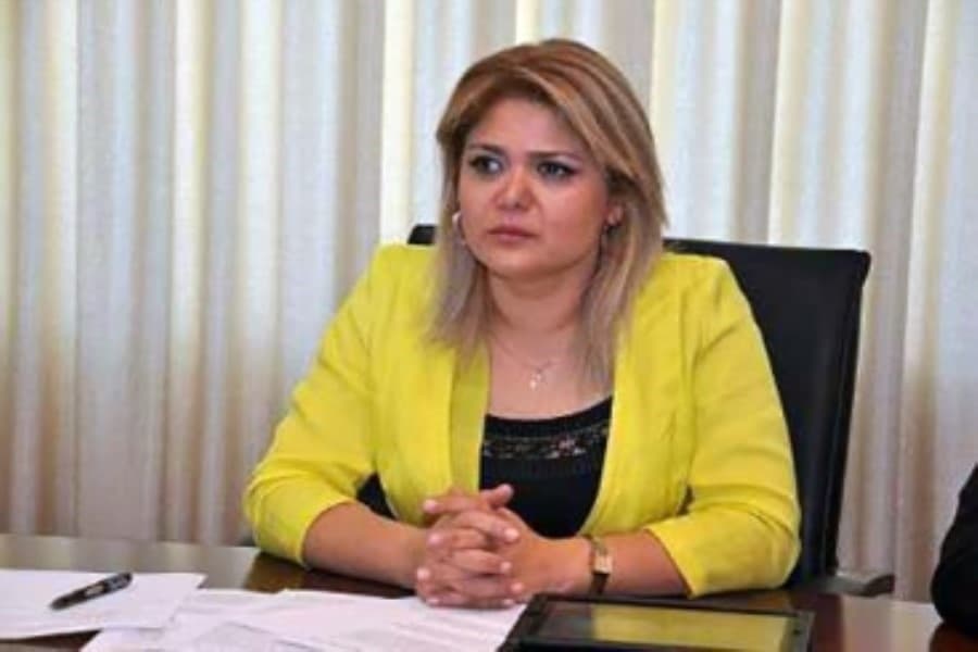 Vüsalə Hüseynli: "İctimai palatanın yaradılması ilə bağlı vəkillik fəaliyyətinə başlanmalıdır"
