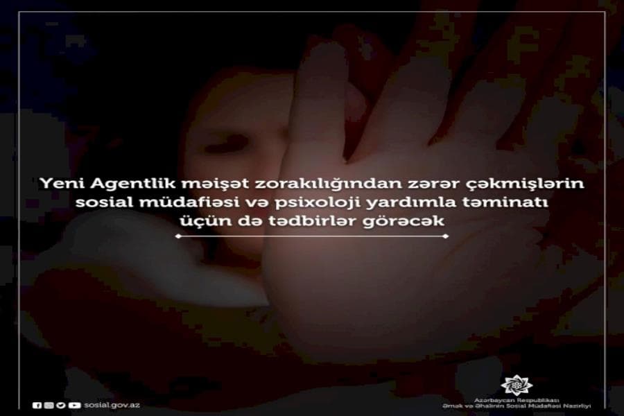 Yeni Agentlik məişət zorakılığından zərər çəkmişlərin sosial müdafiəsi və psixoloji yardımla təminatı üçün də tədbirlər görəcək