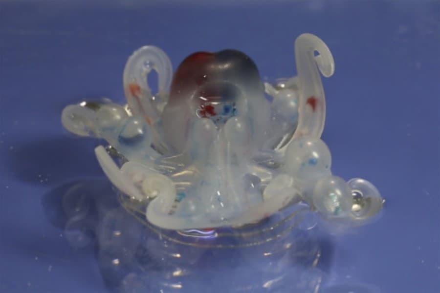 İnsanları müalicə etmək üçün gel robotlar hazırlanır - ÖZƏL