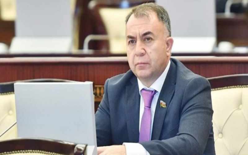 Sadiq Qurbanov: “Prezident İlham Əliyevin Almaniya Prezidenti ilə görüşü münasibətlərin inkişafına tövfə verəcək”