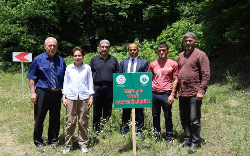 Lerikdə “COP29: Yaşıl Gələcək Naminə Meşələri Qoruyaq” layihəsi üzrə tədbir keçirildi - FOTOLAR