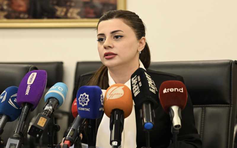 Pərvanə Vəliyeva: Bu il Qərbi Azərbaycanla bağlı 51 layihə QHT-lər tərəfindən icra olunacaq