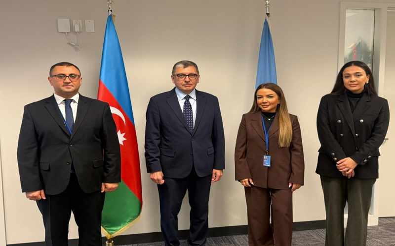 BMT tədbirlərində Azərbaycan QHT-lərinin iştirakının təşviqi məsələləri müzakirə olunub - FOTOLAR