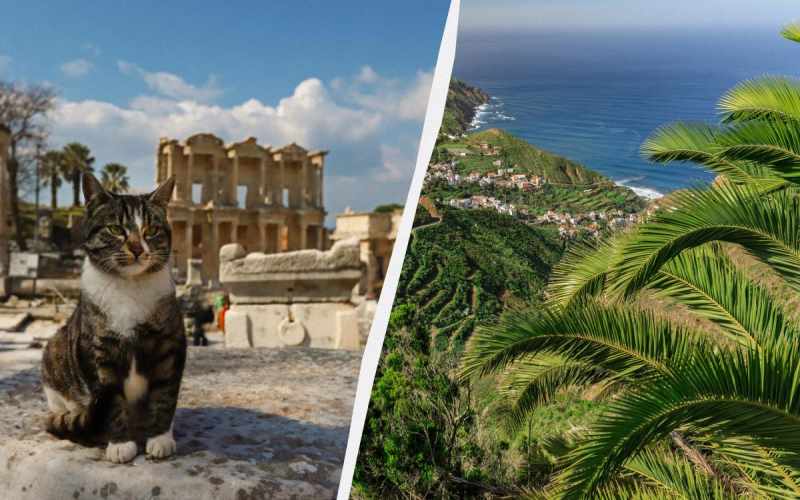 Bu il turistlərin Google-da ən çox axtardıqları ölkə və şəhərlər?