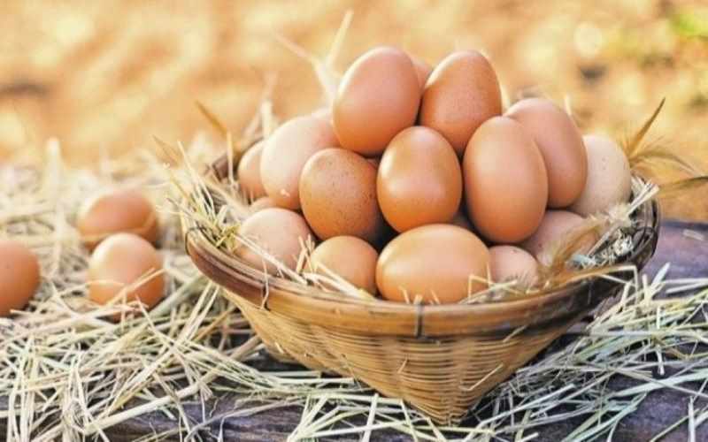 Yumurta xolesterol səviyyəsini qaldırmır