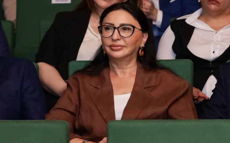 QHT sədri: “Qanun dəyişiklikləri QHT sektorunda yeni dövr başlada bilər”