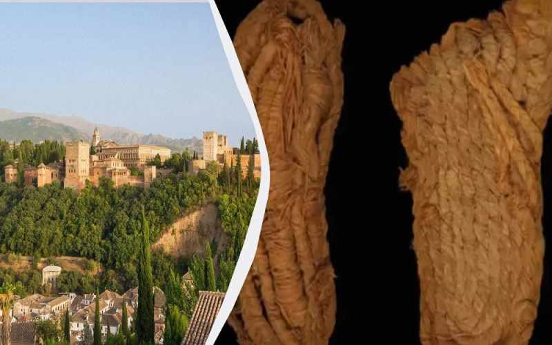 Avropanın ən qədim ayaqqabısı İspaniyada tapılıb, 6000 yaşı var- FOTO