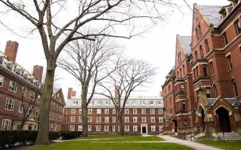 Harvard ABŞ-ın ən zəngin universiteti olur