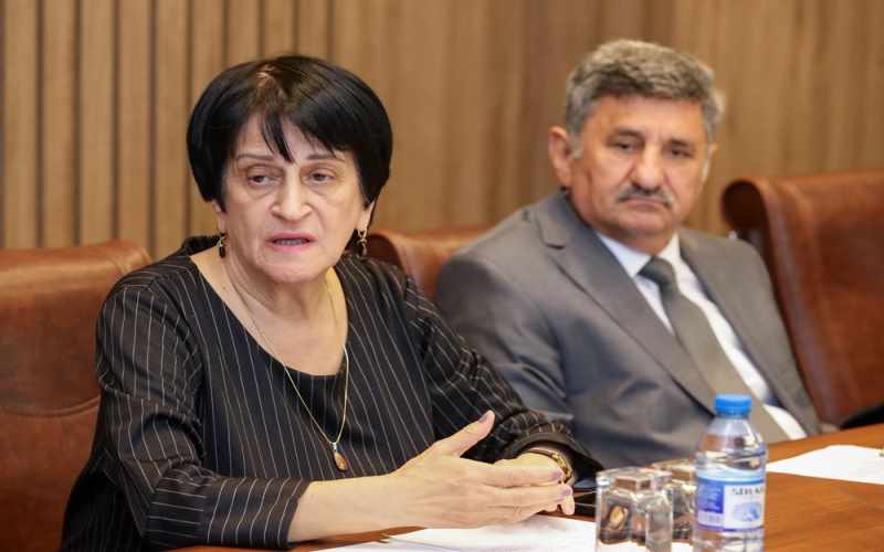 İradə Rizazadə: 