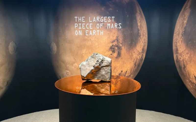 Yer üzündəki ən böyük Mars meteoriti hərraca çıxarılıb: 4 milyon dollar / FOTO