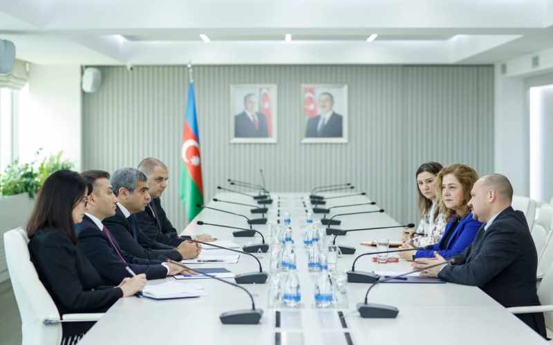 Nazirlikdə Ümumdünya Səhiyyə Təşkilatının Azərbaycandakı nümayəndəliyinin rəhbəri ilə görüş olub