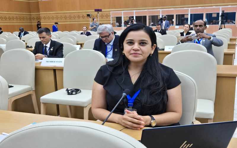 QHT nümayəndəsi beynəlxalq konfransda Zəngəzur dəhlizinin açılmasının vacibliyindən danışıb - VİDEOLAR