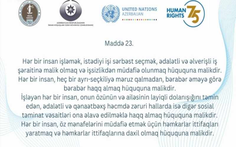 Hər bir insan işləmək, istədiyi işi sərbəst seçmək, işsizlikdən müdafiə olunmaq hüququna malikdir - VİDEO