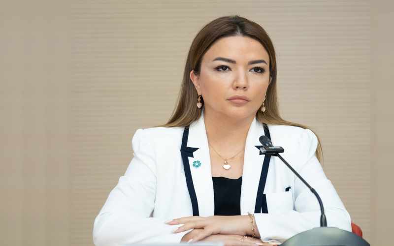 Aygün Əliyeva: Normativ sənədlərin hazırlanmasında QHT-lərin təkliflərinin nəzərə alınması məqsədəuyğundur